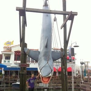 Meet your Posher, Jon